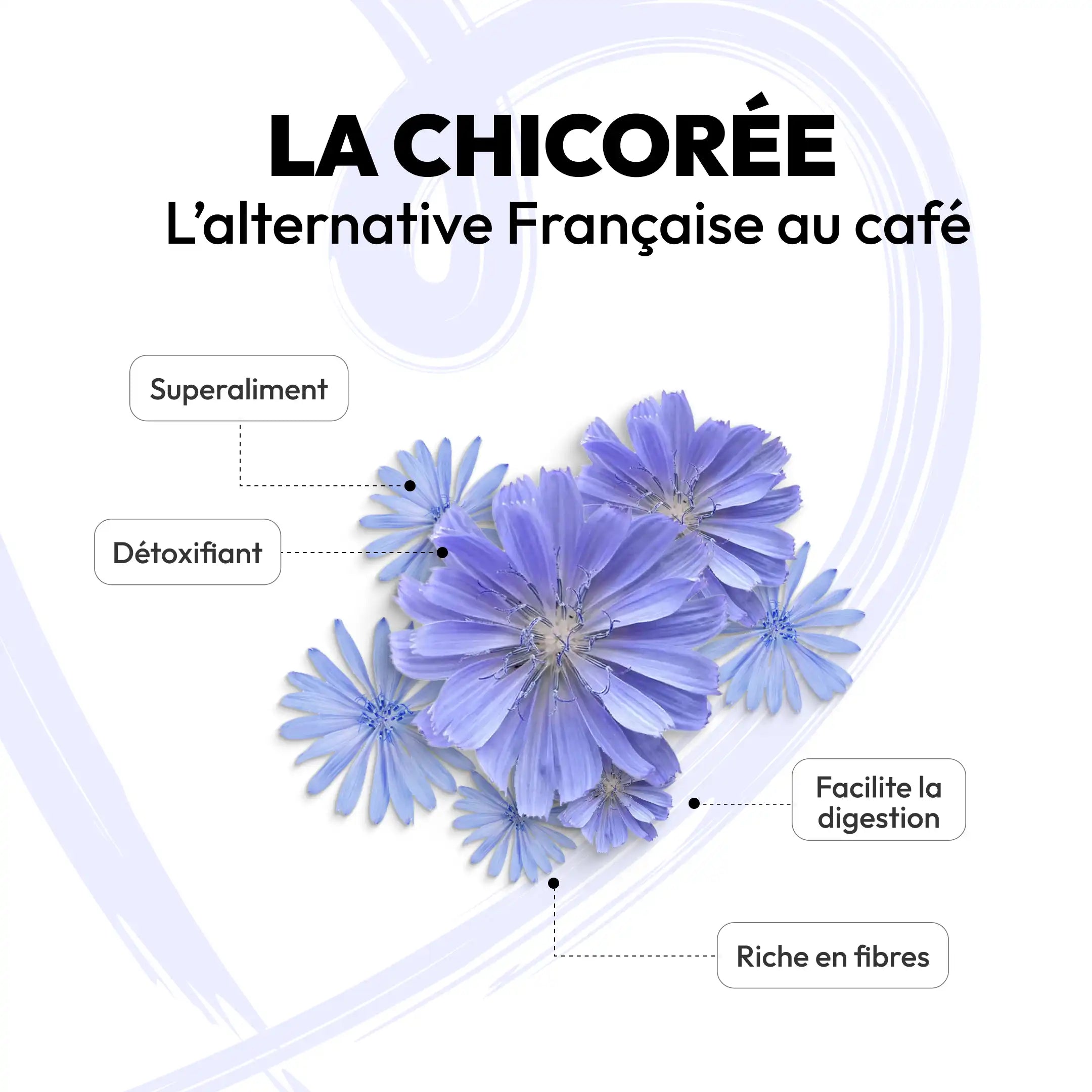 Caps Me-les bien faits de la chicoree de specialite pour capsules reutilisables capsme.webp