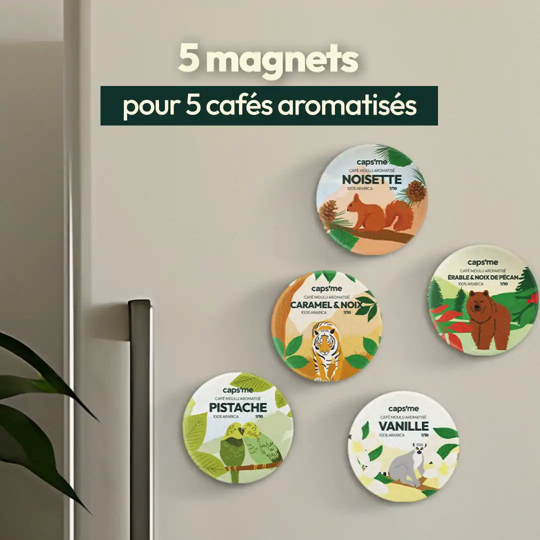 5 Aimants magnétiques de cafés aromatisés