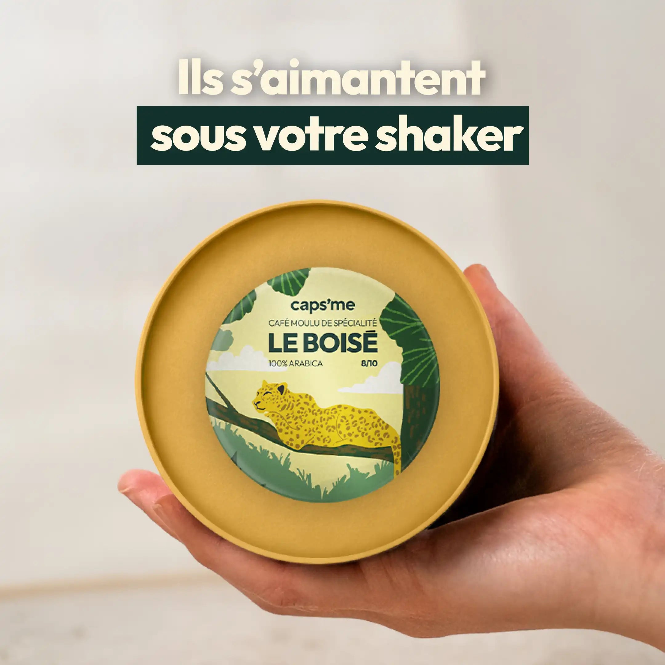 5 Aimants magnétiques de cafés de spécialité