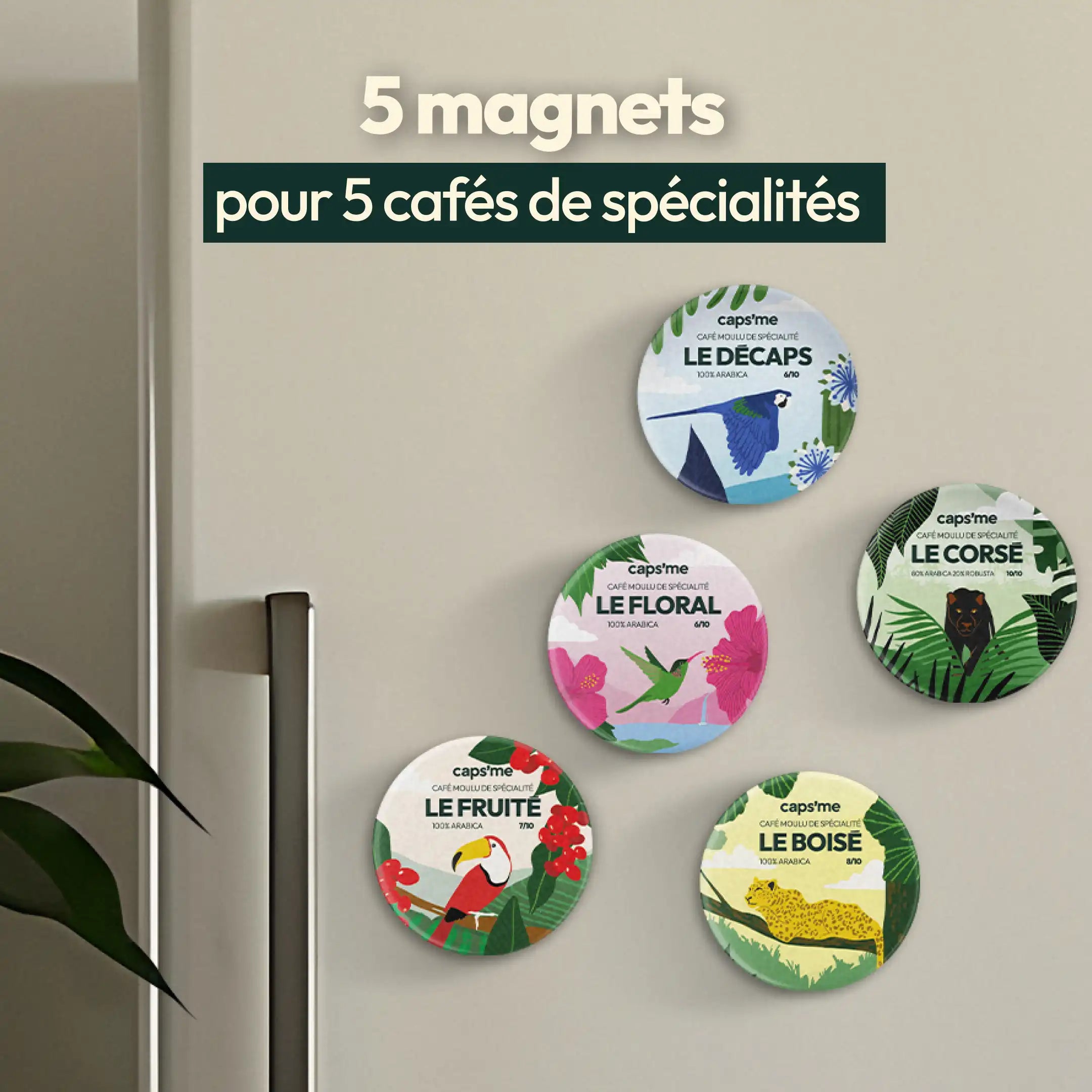 5 Aimants magnétiques de cafés de spécialité