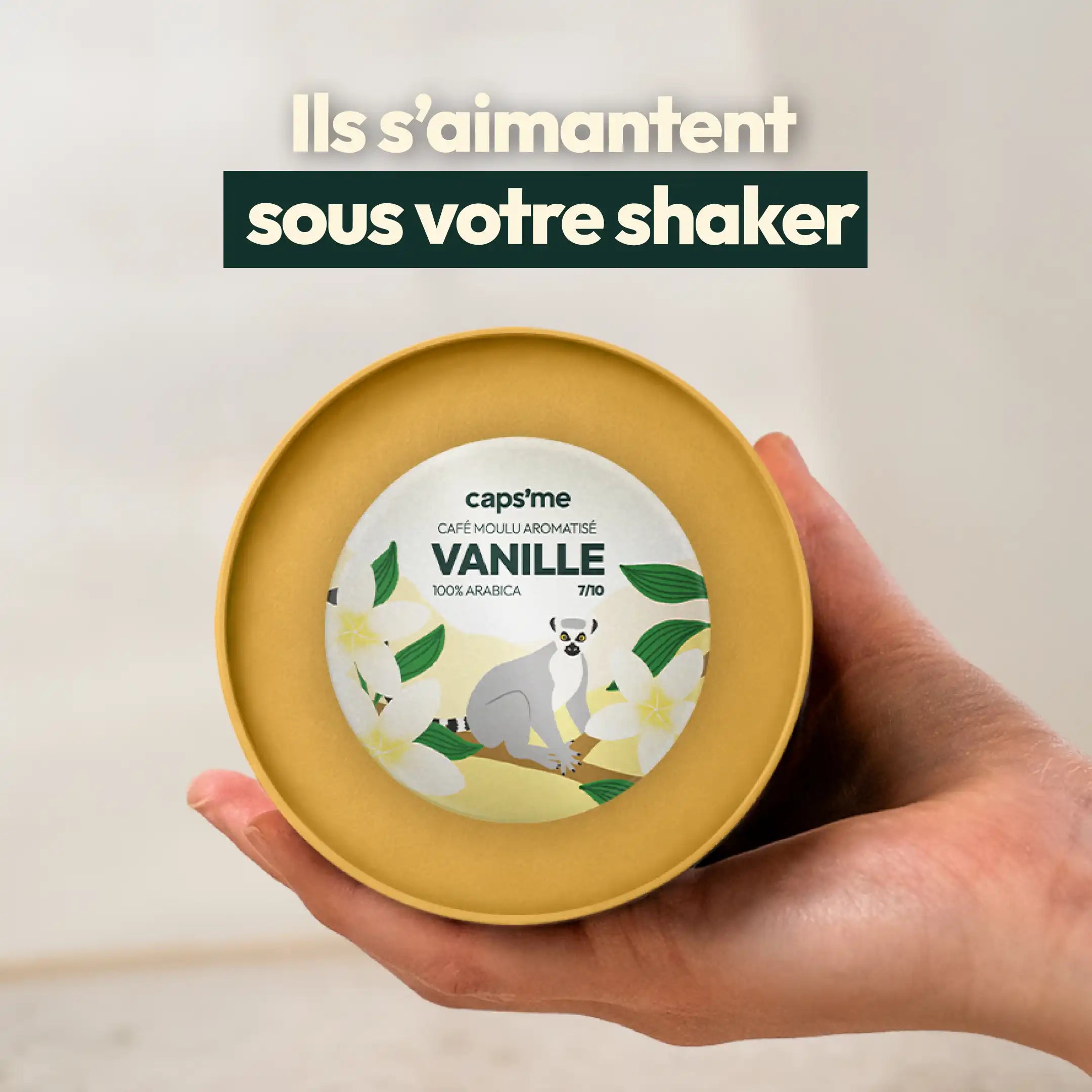10 Aimants magnétiques de cafés de spécialité & aromatisés