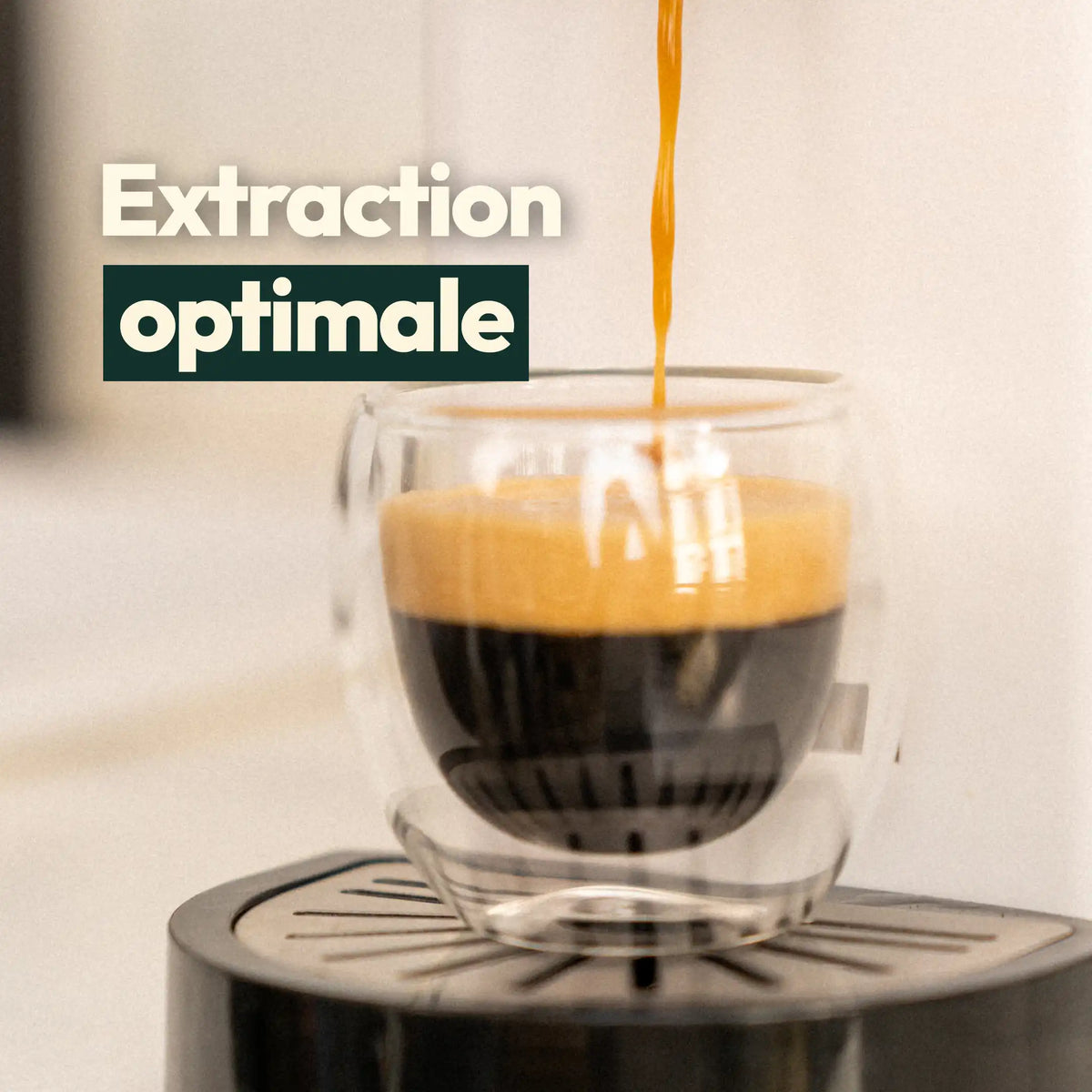Café moulu pour capsules réutilisables : 100 % Arabica, torréfié en France