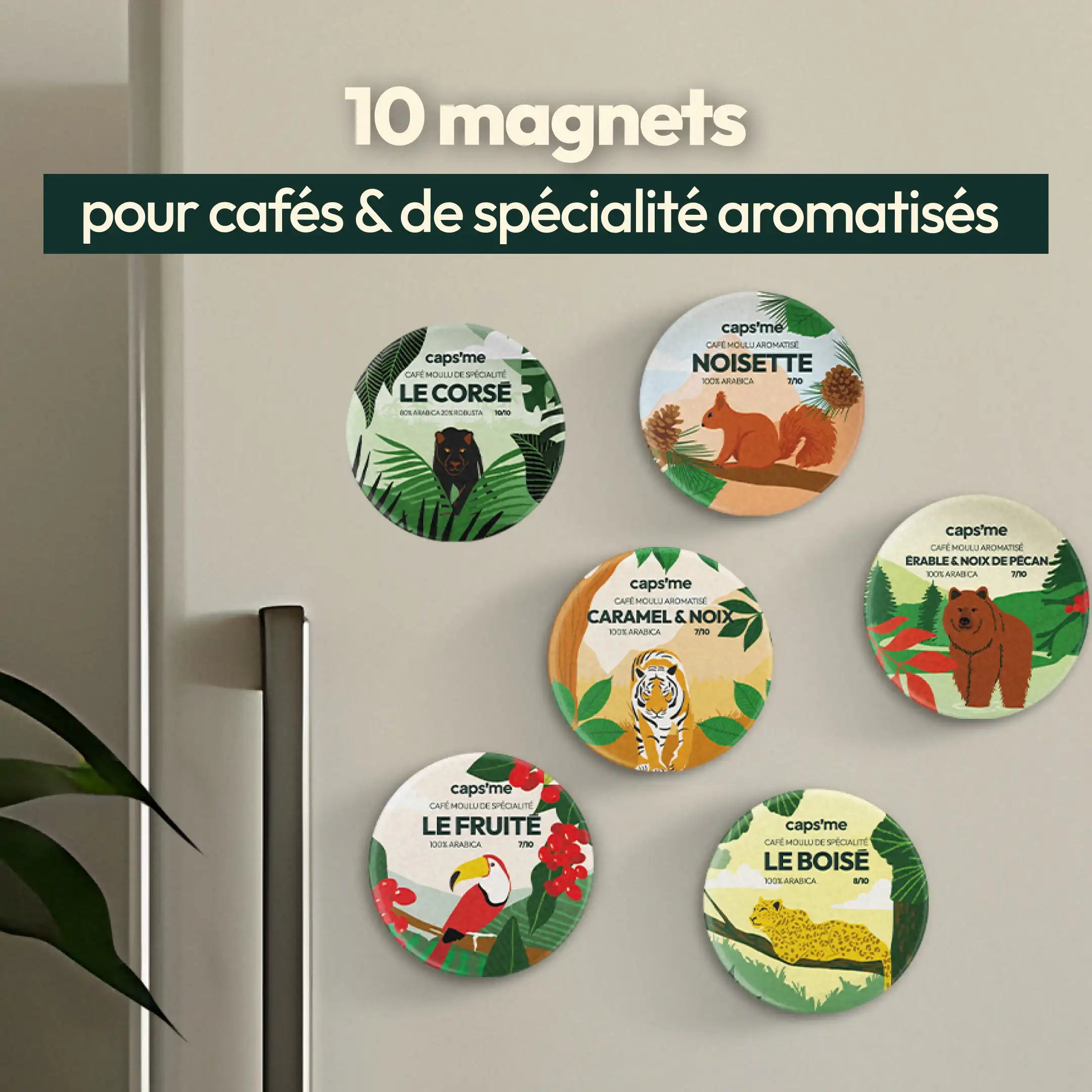 10 Aimants magnétiques de cafés de spécialité & aromatisés